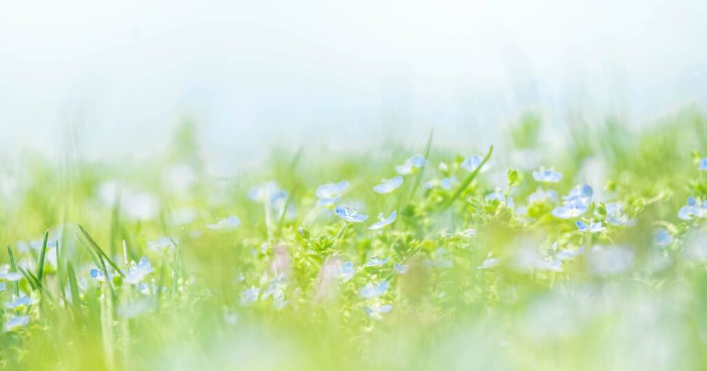 キャリートセッションで自己分析を深めるイメージ